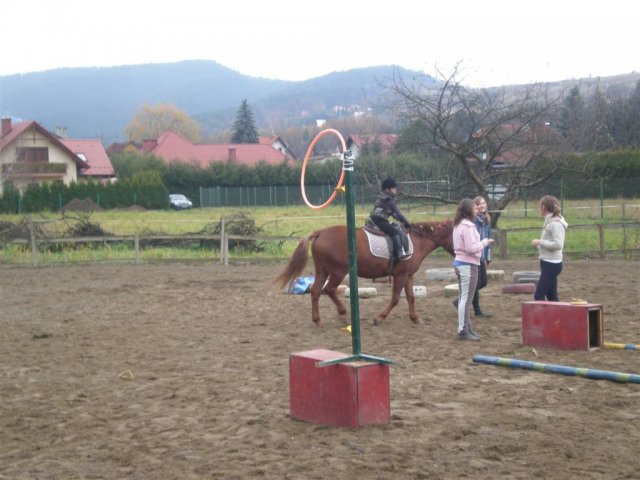 Hubertus 2010